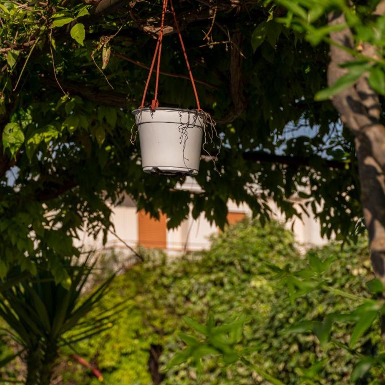 La Dimora Del Bue - One-Bedroom Apartment - 70