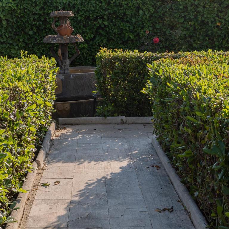 La Dimora Del Bue - One-Bedroom Apartment - 71