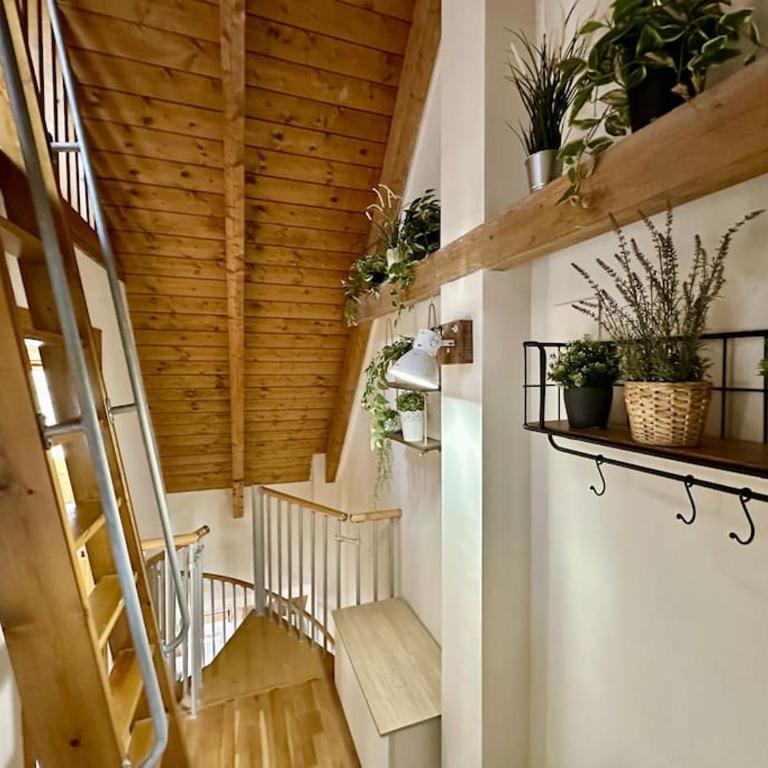 La Glera. En el centro de Sallent de Gállego - Apartment mit 3 Schlafzimmern - 11