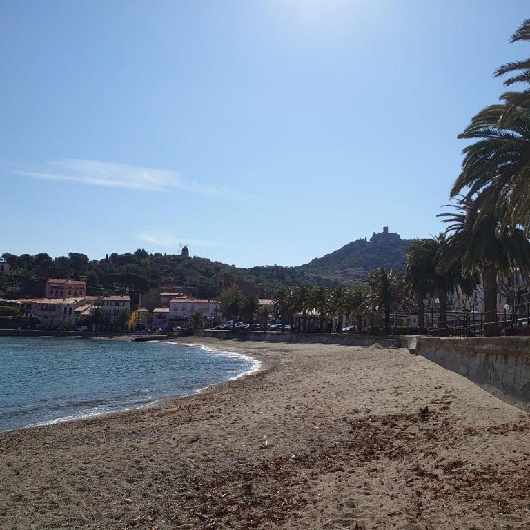 2VSE-ALZ07 Studio dans résidence calme proche plage Collioure - Studio-Apartment - 14