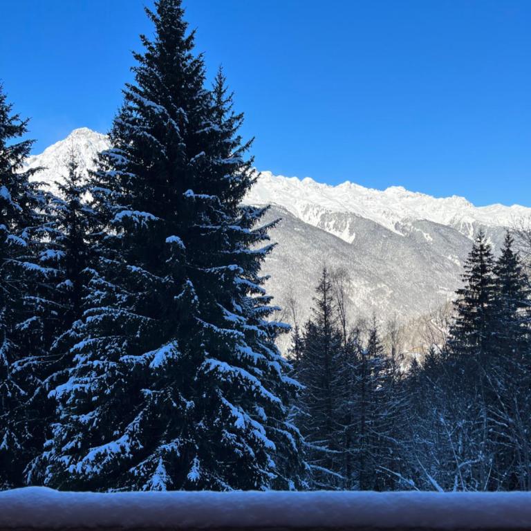 Chalet Oz en Oisans Station - Alpe d'Huez - Chalet - 27