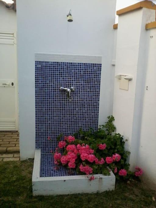 El Magnolio - Casa de 4 dormitorios - 14