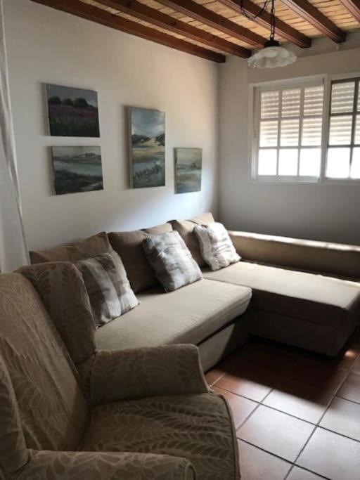 El Magnolio - Casa de 4 dormitorios - 35