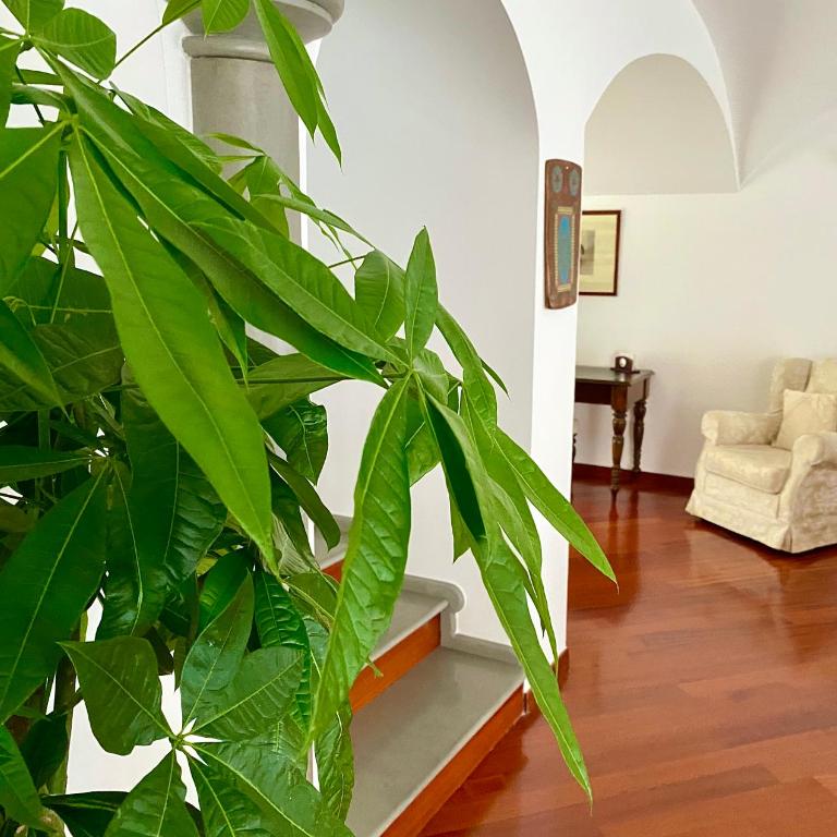Casa Sterlizia [Olbia] - Appartamento con 3 Camere da Letto - 11
