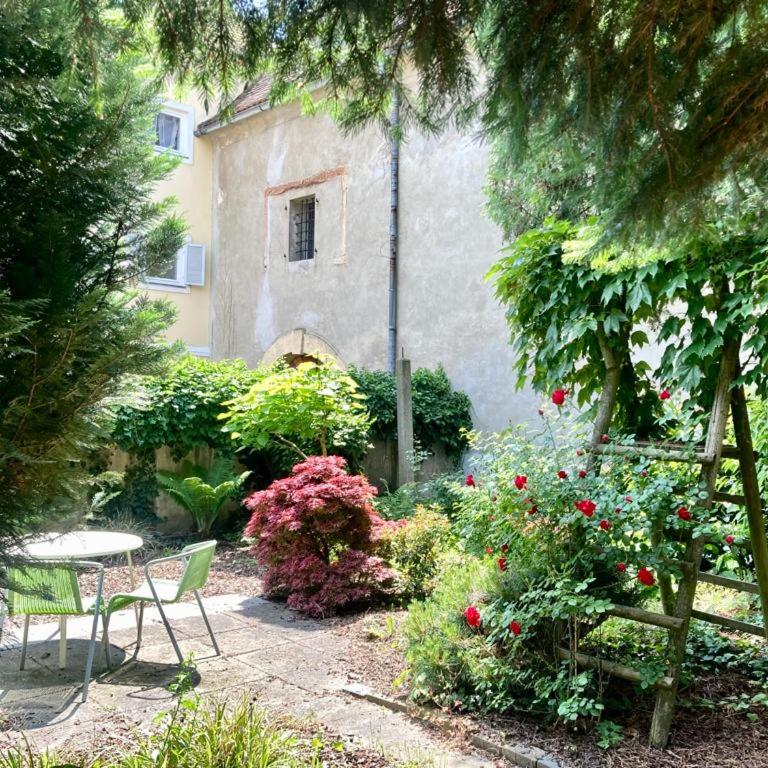 Ferienwohnung Spezerei - Apartment mit 1 Schlafzimmer - 7