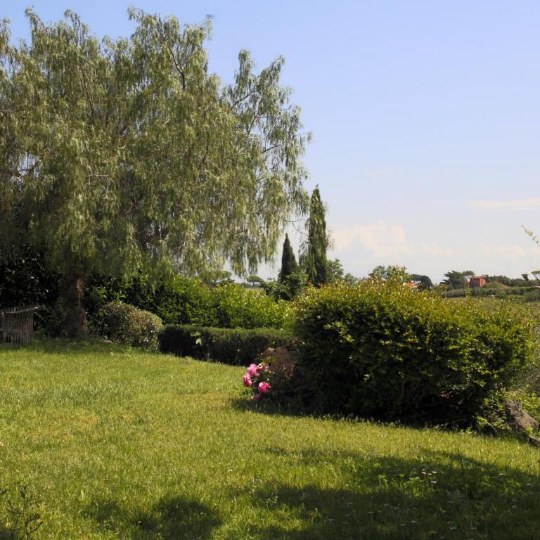 Casa Fiorita Appia Antica - Apartment mit 2 Schlafzimmern - 6