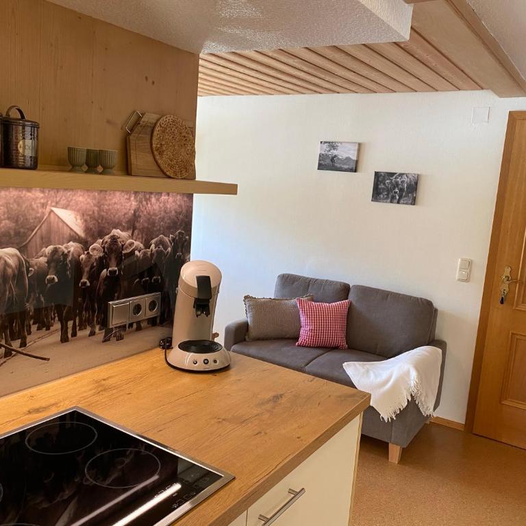 Gästehaus Nussbaumer - Apartment mit 1 Schlafzimmer - 2