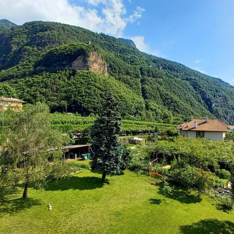 Hotel Garni Grüner Baum (Albero Verde) - Camera Matrimoniale con Balcone - 2