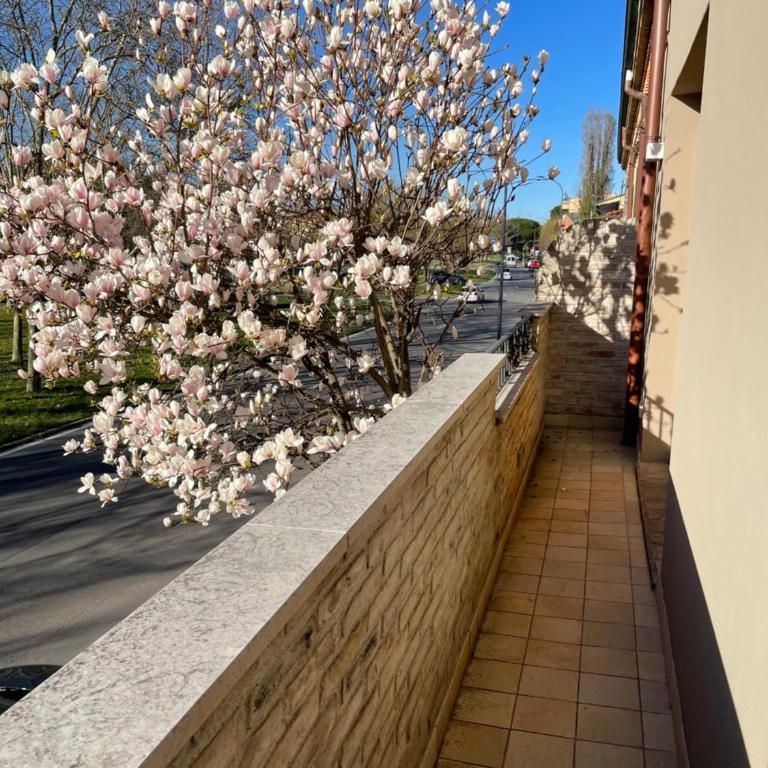 Casetta Randi 26 - Appartamento con 1 Camera da Letto e Terrazza - 4