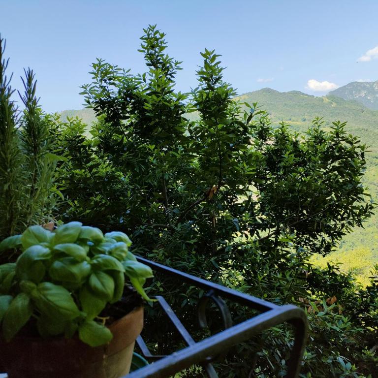 Appartamenti San Lorenzo Holidays - Appartamento con 2 Camere da Letto e Vista Lago - 20