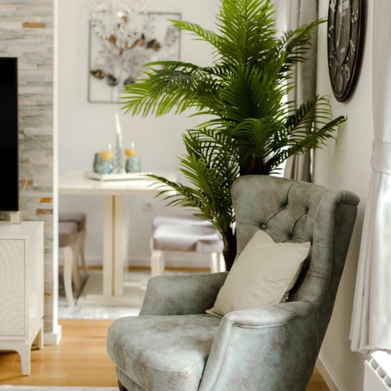 Fontana apartmani FREE parking - Apartman sa 1 Spavaćom Sobom - 17