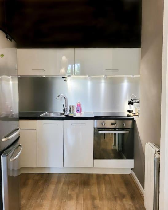 Spacieux T3 * centre ville * sans vis à vis - Appartement 1 Chambre - 15