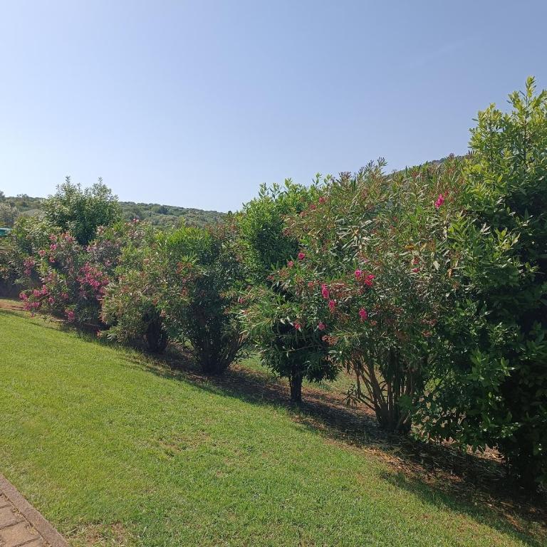 Rosanna House in Bombarde Beach - Appartamento con 2 Camere da Letto - 60