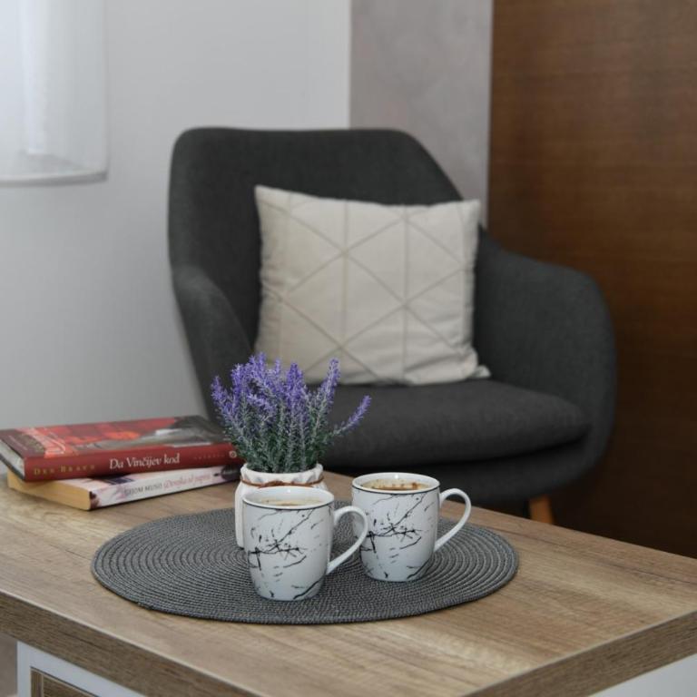 Apartman Zara - free private parking - - Apartman sa 1 Spavaćom Sobom - 4