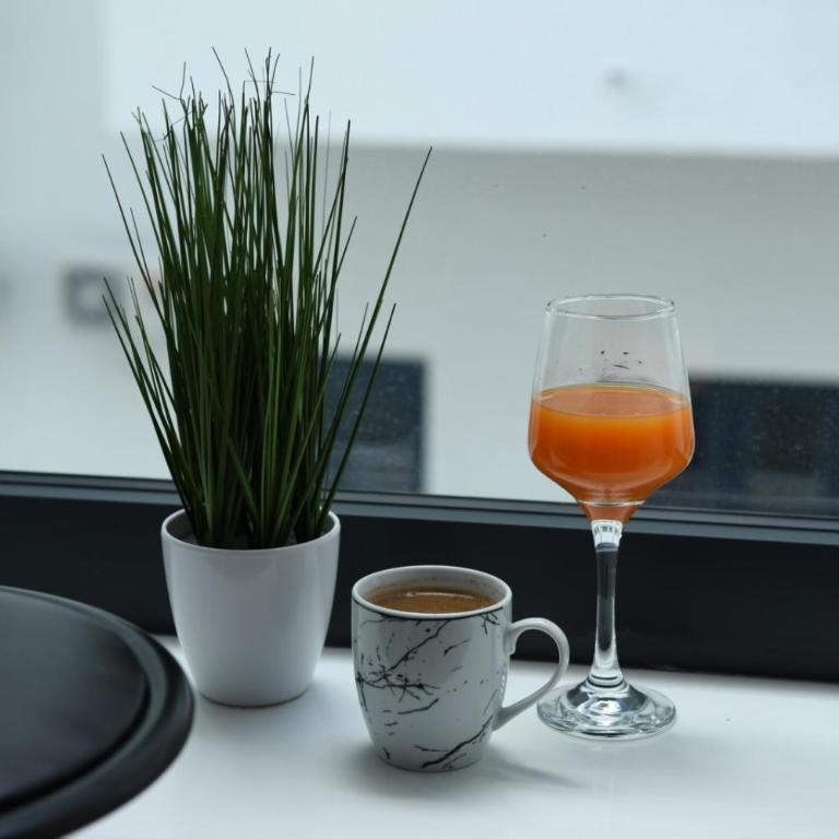 Apartman Zara - free private parking - - Apartman sa 1 Spavaćom Sobom - 28