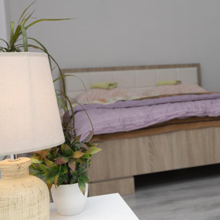 Visit Dreznica - Canyon Retreat - Quadruple Room with Balcony - 33