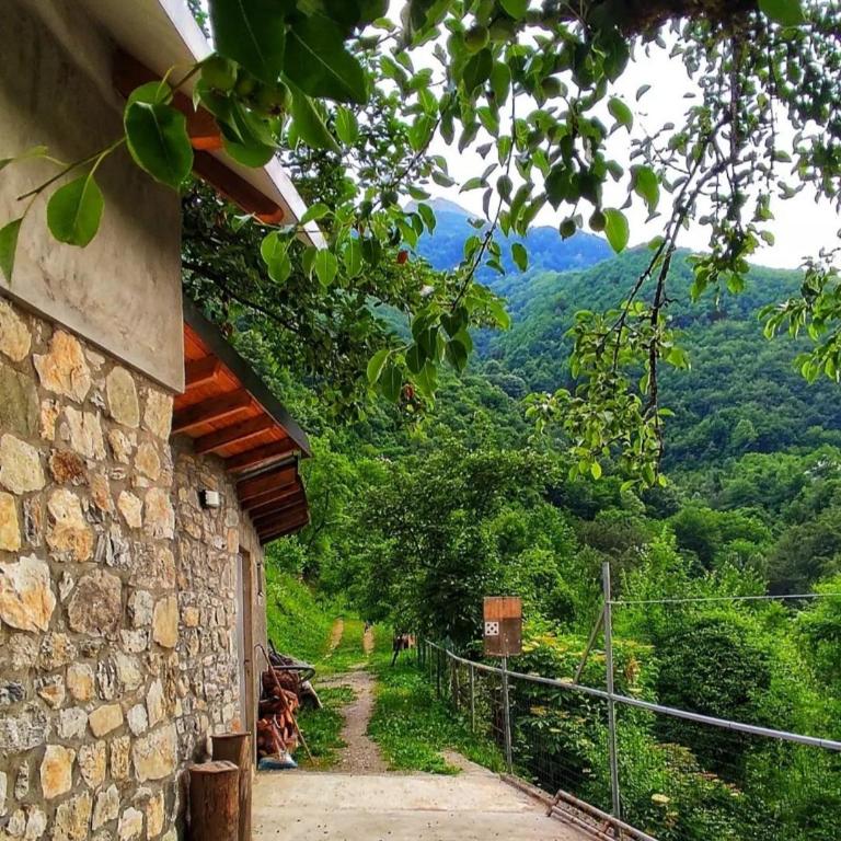 Ljuta Village - Kuća sa 2 Spavaće Sobe - 25