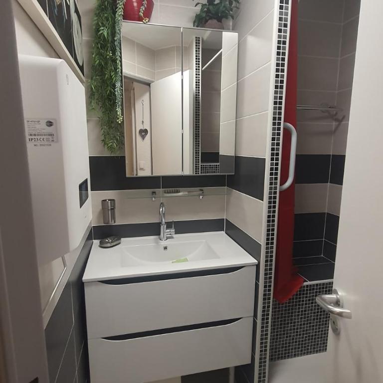 JOLI T2 DANS UN ECRIN DE VERDURE n 2 - Appartement 1 Chambre - 4