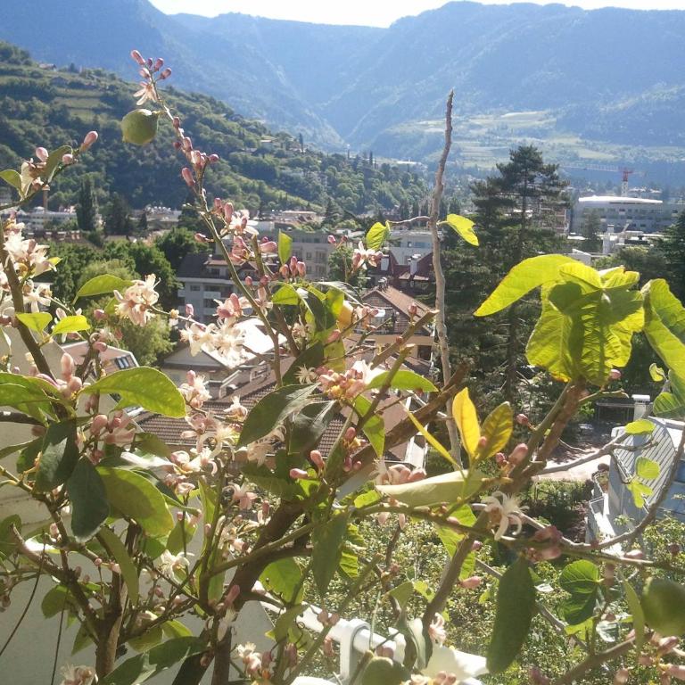 Hotel Lux - Camera Matrimoniale Economy con Balcone - 11
