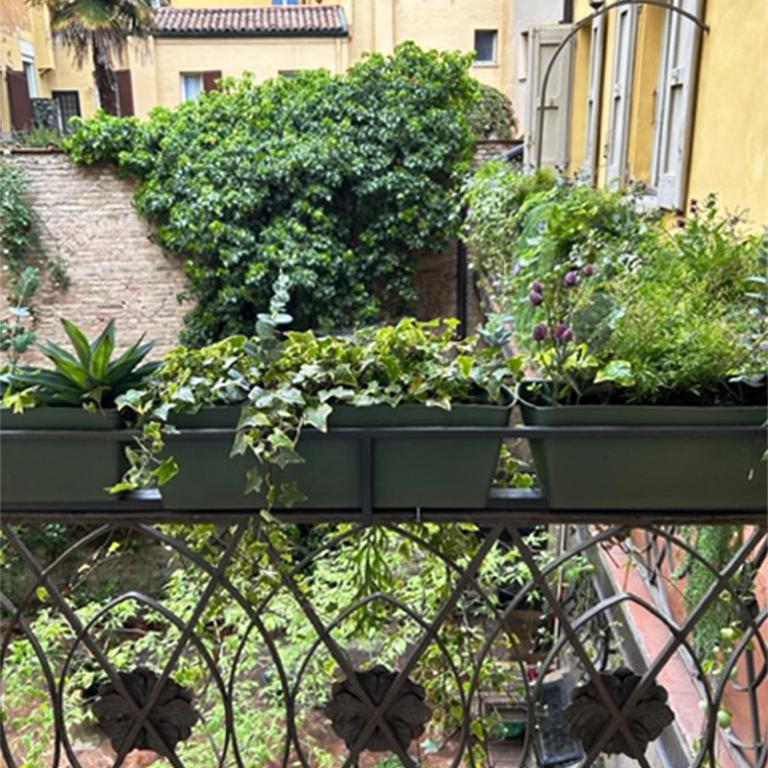Castellata La Suite - Deluxe Double Room with Balcony - 4