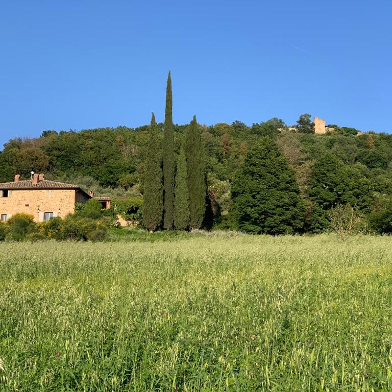 Podere FonteBernardi casa con vista su Pienza - Casa con 3 Camere da Letto - 2