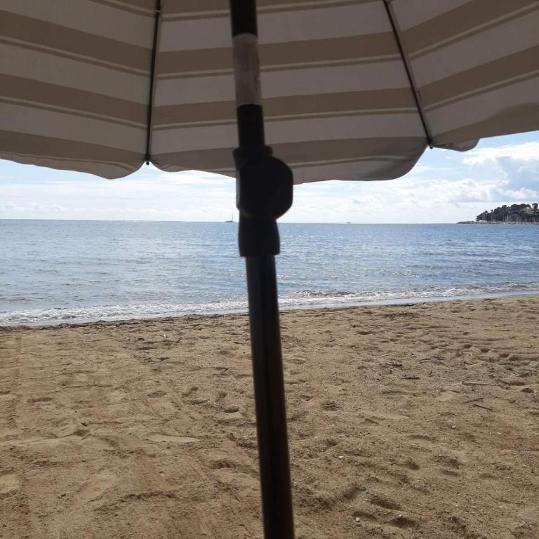 Le Palmier, jardin privatif, plage 200m, centre et restaurants à deux pas, climatisé, wifi, garage, rénové - Apartment with Garden View - 17