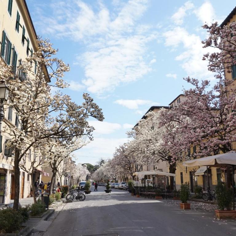 Il Chiassetto Cozy Apartment in Center town - Appartamento Deluxe - 36