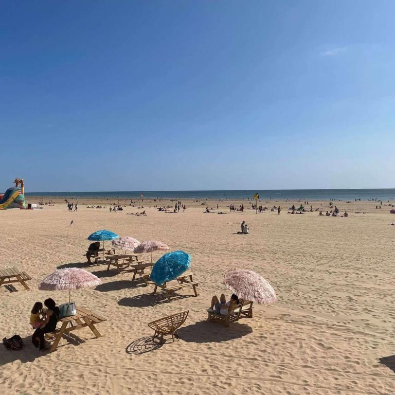 Appartement 2 pièces avec balcon, vue mer latérale - FR-1-224C-301 - Appartamento (4 Adulti) - 15