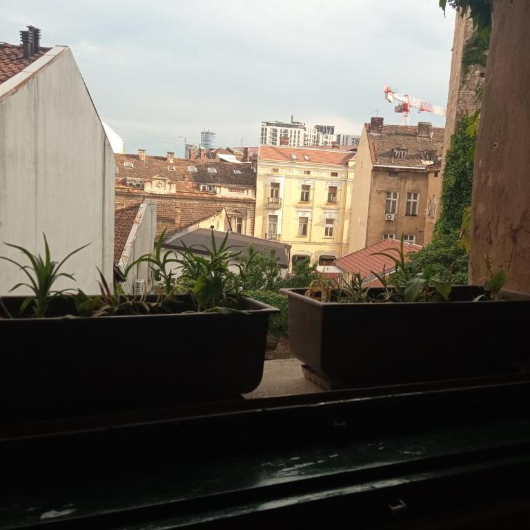 Marmelo - Studio Apartman - 9