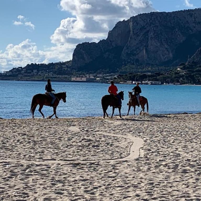 mondello sea view beach apartment - Appartamento con 2 Camere da Letto - 4