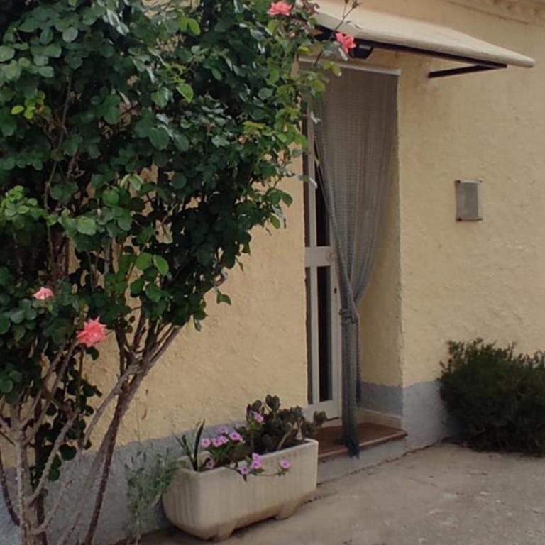 Casa Lo Fangar - Deltebre - Three-Bedroom House - 17
