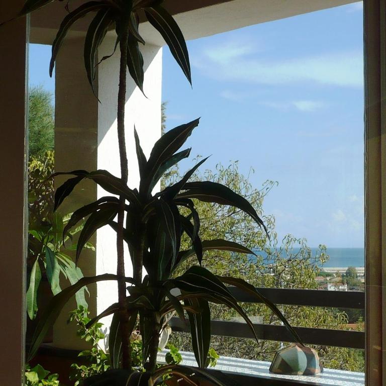 Villa Soliva - Mare e Panorama Unico - Villa mit Meerblick - 9