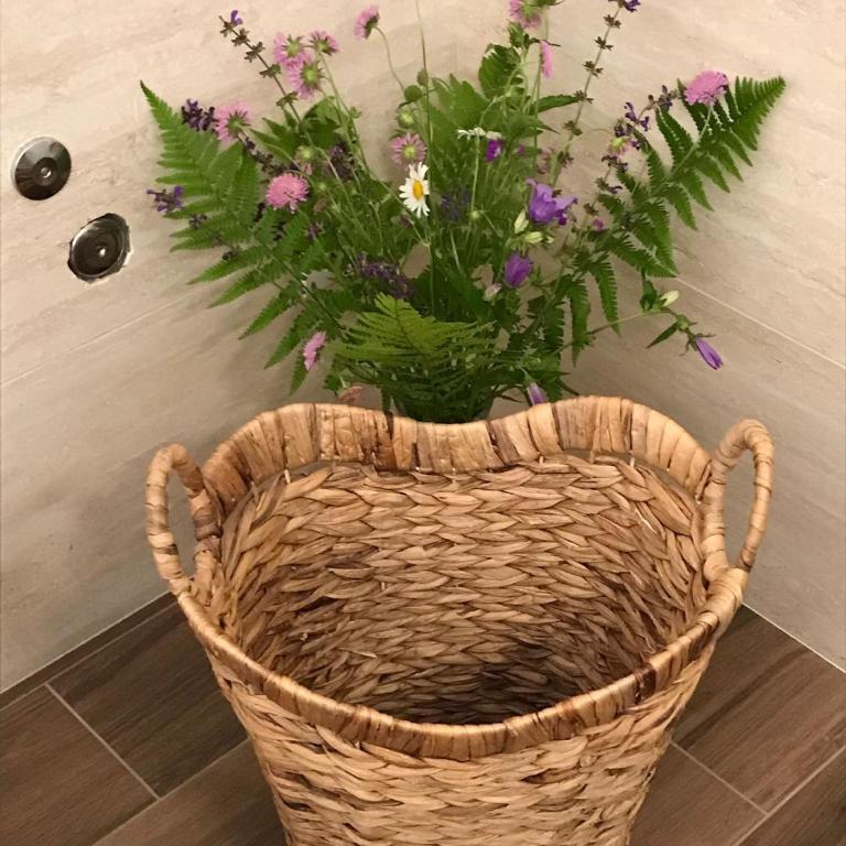 ANTICA FILANDA LATTES Vicino Ospedale Carle Cuneo - Appartement 1 Chambre - 21