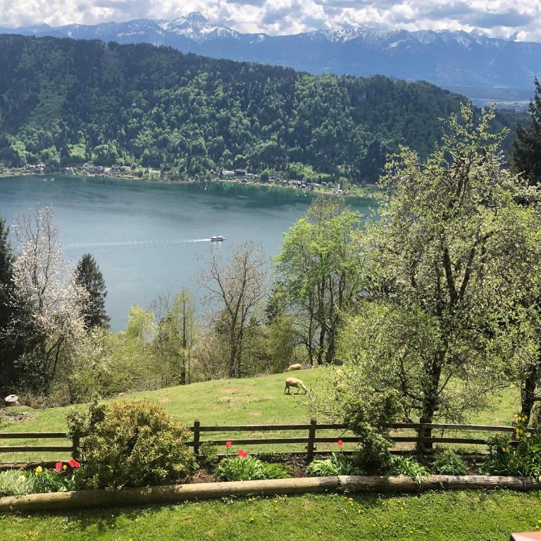 Landhaus Hofer Ossiacher See - Double Room with Lake View - 1
