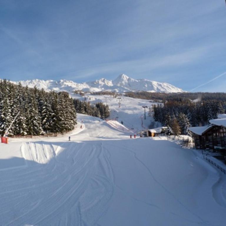 Appartement duplex, animaux OK - 6 pers., vue sur pistes - FR-1-411-603 - Appartement (6 Adultes) - 3
