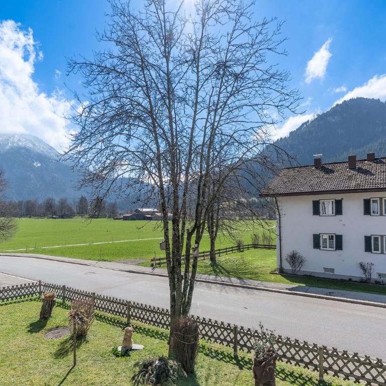 Backauf - Apartment - 8
