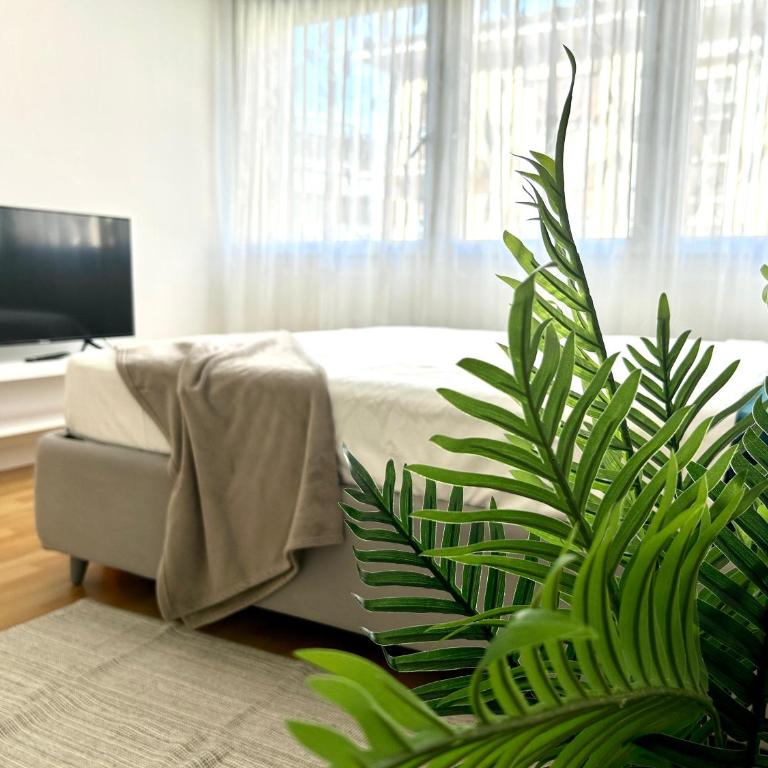 Modern Studio near Lugano's Lake & City Center - Appartamento con 1 Camera da Letto - 12