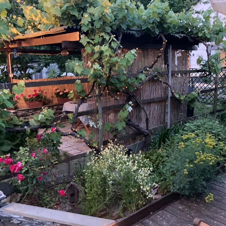 La casa nel verde - Casa con 2 Camere da Letto - 20