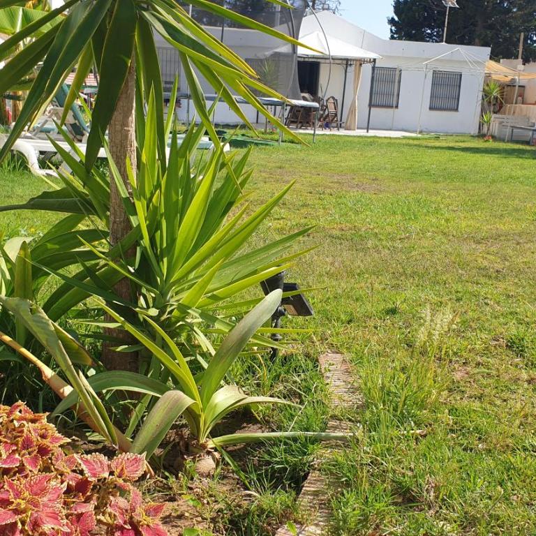 Casa Pelicano - Casa de 2 dormitorios - 5