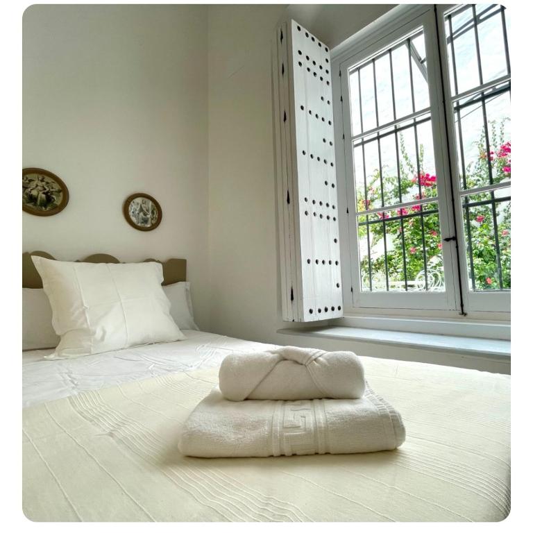 GATU PREMIUM Apartamento Palacio Oneto con Jardín Privado " Preferente mayores de 25 años y familias " - Apartamento Superior - 3