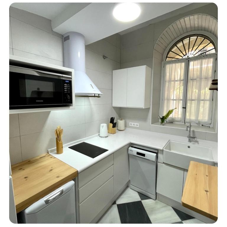 GATU PREMIUM Apartamento Palacio Oneto con Jardín Privado " Preferente mayores de 25 años y familias " - Apartamento Superior - 21