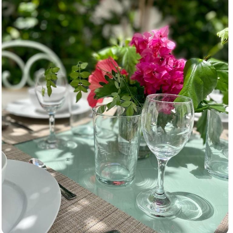 GATU PREMIUM Apartamento Palacio Oneto con Jardín Privado " Preferente mayores de 25 años y familias " - Apartamento Superior - 8