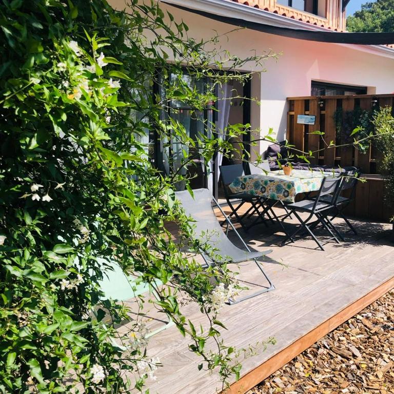 Flou de Pin - Villa 2 Chambres - 2