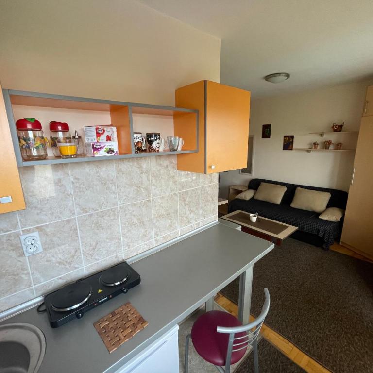 Roof Apartment Nis - Apartman sa 1 Spavaćom Sobom - 4