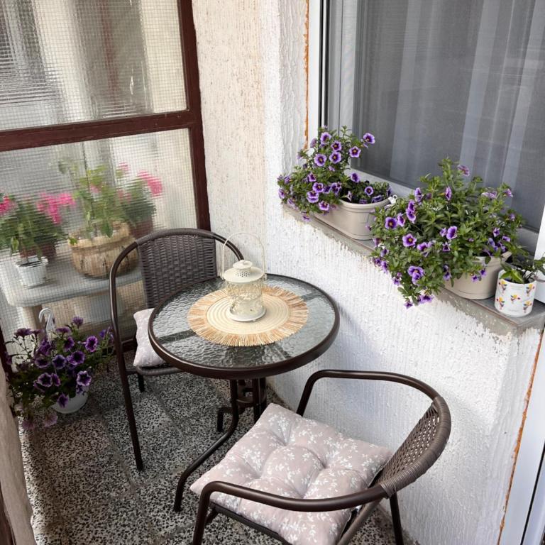 Apartman Polo - Apartman sa 1 Spavaćom Sobom - 17