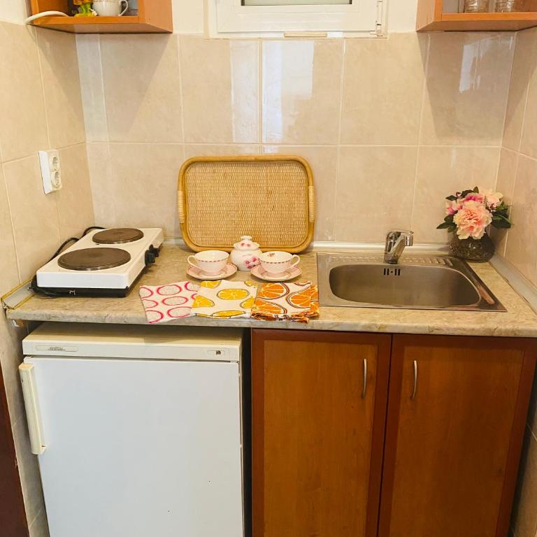 Miomir Perazic Apartments - Deluxe Family Suite - 4