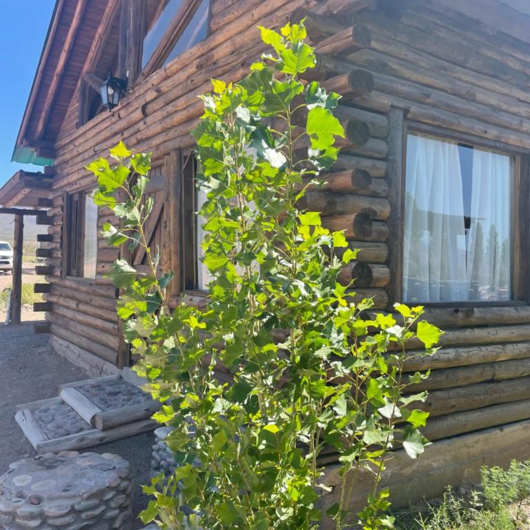 Naol village - Chalet de 1 dormitorio - 16