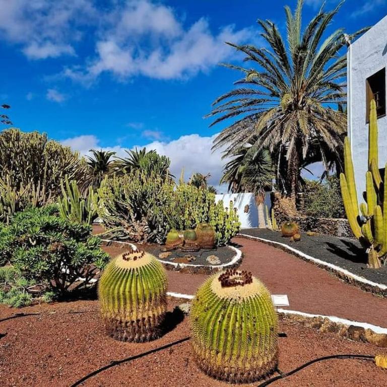 Air-conditioned flat Casa Freesia Caleta de Fuste - One-Bedroom Apartment - 70