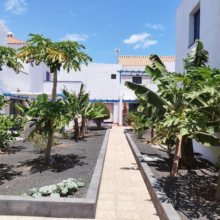 Air-conditioned flat Casa Freesia Caleta de Fuste - One-Bedroom Apartment - 44