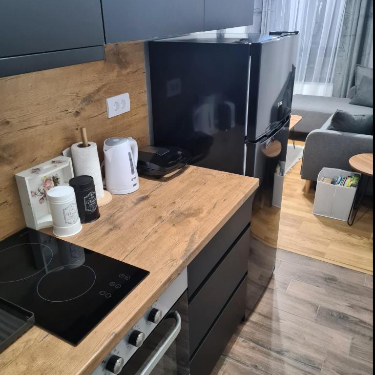 Iskra Sparkle apartman - One-Bedroom Apartment - 19
